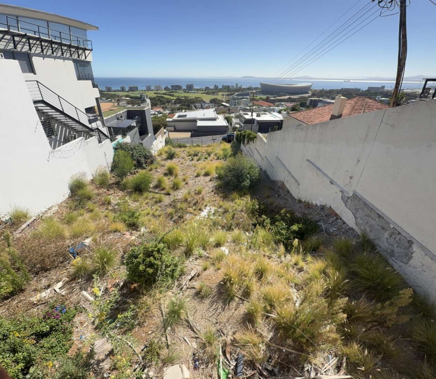 0 Bedroom Property for Sale in Green Point Western Cape